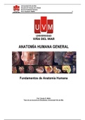 anatomia libro 5