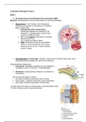 Thema 6 leerdoelen Pathologie