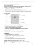 Samenvatting Pathologie Blok 2.1