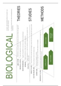 Biological Psychology Notes - Written by an A* Psychology Student