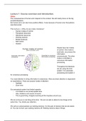 Lecture summary human error 