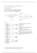 Summary Management & Organization (lectures, articles) VU 3rd year (EN)