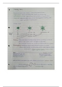 Chemistry for the Biosciences - Common Year One @ King's College London