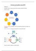 complete summary perception