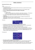 Biochemistry 2 (BB10004/BB10121)