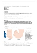 Foetale/neonatale afwijkingen