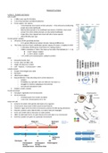 Summary Biological Psychology Part 1 (lec 1-7)