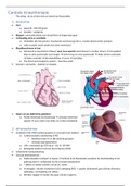 cardiale kinesitherapie theorielessen