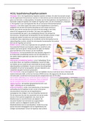 HCO2, hypothalamus-hypofyse systeem