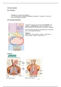 Hoorcollege's Circulatie en Respiratie