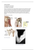 Leerboek orthopedie 25.4 t/m 25.9 & 28.6 t/m 28.7