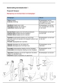 Samenvatting kennistoets 1, blok 1 van het eerste jaar Ergotherapie