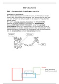 Uitwerking ZSO Anatomie mondzorgkunde propedeuse periode 3