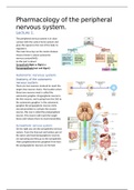 Bundel Algemene Farmacologie 