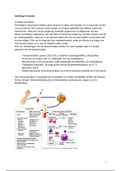 Keuzevak Bloed: Functies en Ziekten