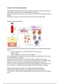 Bloed: Functies en Ziekten College 2