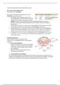 Functionele Neuroanatomie