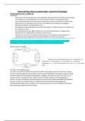 Interne aandoeningen - anatomie en fysiologie - leerjaar 2