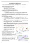 Neuropsychology Pedagogische Wetenschappen Radboud Samenvatting Summary