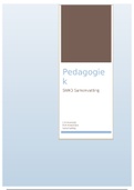 SWK3 pedagogiek