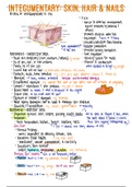 Integumentary System