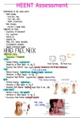 Head, Eyes, Ears, Neck & Throat Assessment