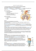 Leerdoelen Over Het Ademhalingsstelsel (Biomedisch InHolland)