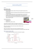 Samenvatting qPCR met rekenvragen en oefenvragen! (2019)