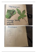 Herbarium