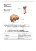 Periode 8 hoorcolleges samenvatting 