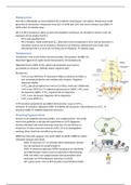 Samenvatting psychofarmacologie 