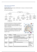 Samenvatting leerstof auto-immuniteit