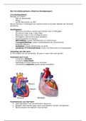 Anatomie periode 4