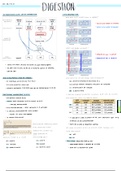 Lipid and Protein Digestion