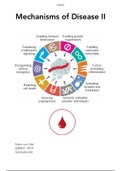 Mechanisms of Disease 2 Summary