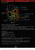 Physiology 212: Heart Physiology