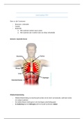 Samenvatting Stemstoornissen - anatomie, fysiologie & pathologie