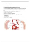 MK Cariologie Bijeenkomst 2 Hypertensie