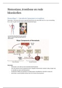 Samenvatting Hemostase, trombose en rode bloedcellen