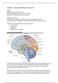 Uitgebreide samenvatting speciele anatomie en fysiologie