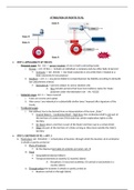 AOA Exam schemes 