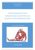 jaar 2, anatomie 