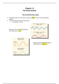 Chapter 4.2 Visual System