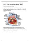 SAMENVATTING SIPIDO COMPLEET