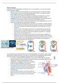 HCO16 circulatie en H43