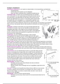 Ecologie 4 Eilandtheorie