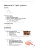 Anatomie en pathologie: Hoofdstuk 7: Spiersysteem