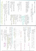 A-level A2 Biology Chapter 17 Selection and Evolution summary