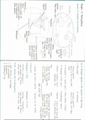 A-level A2 Biology Chapter 13 Photosynthesis summary