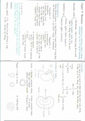 A-level A2 Biology Chapter 14 Homeostasis summary